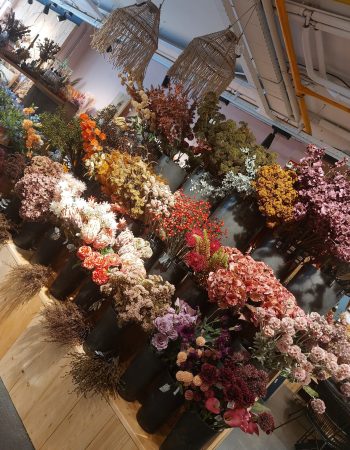 20250916_120552 (002)