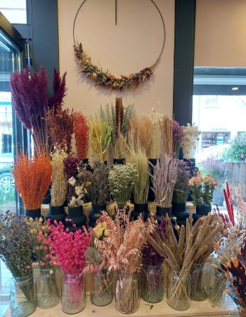 Droogbloemen assortiment