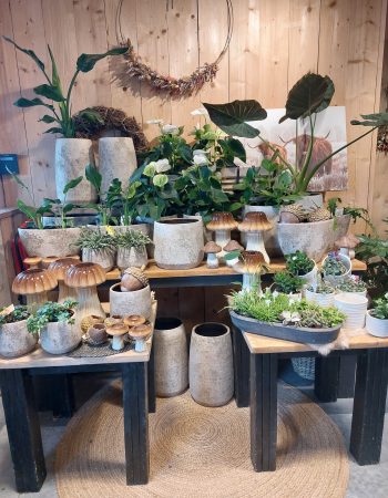 foto hoekje winkel foto hoekje winkel